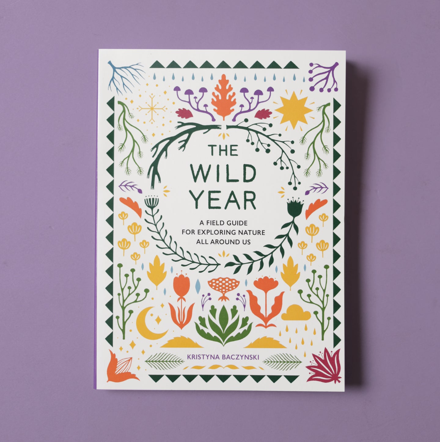 The Wild Year: A Field Guide for Exploring Nature All Around Us Book