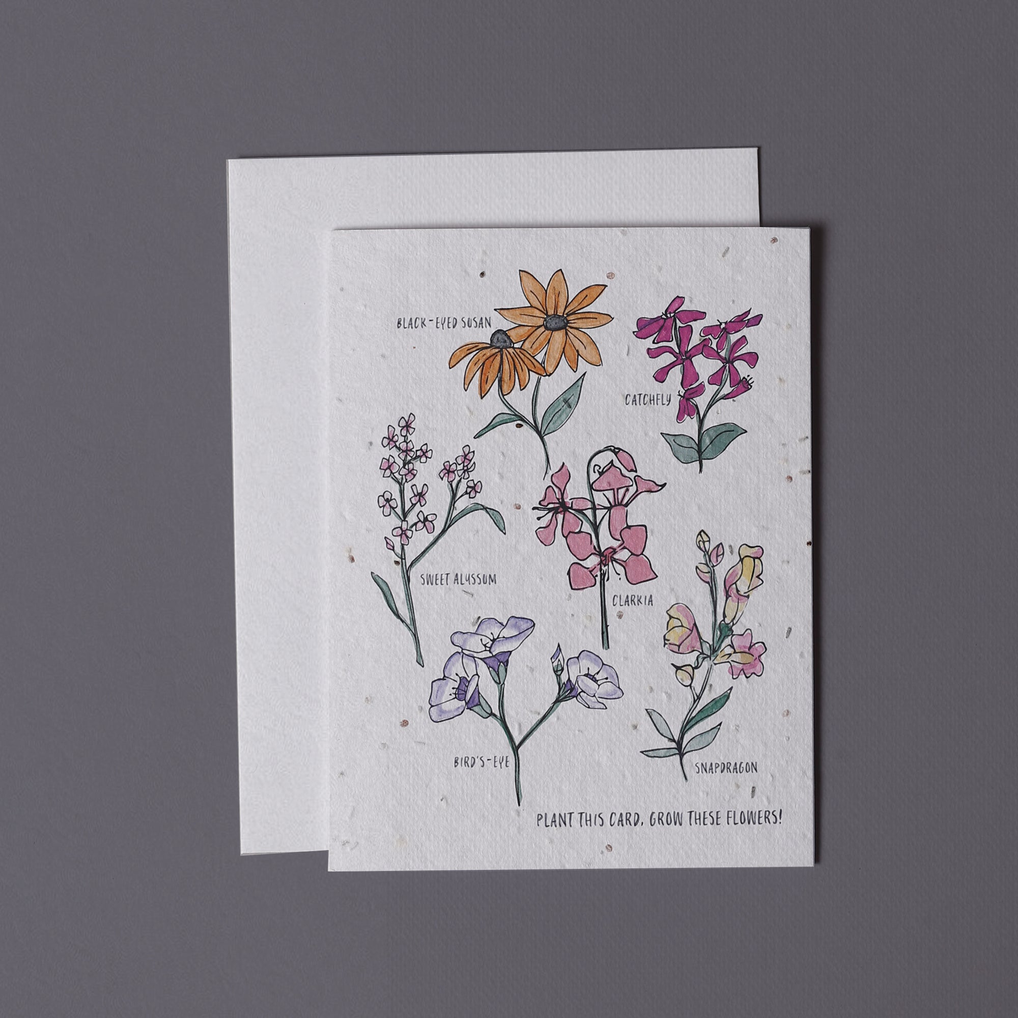 Wild Flowers - Wildflower Seed Card - Jill + Jack Paper
