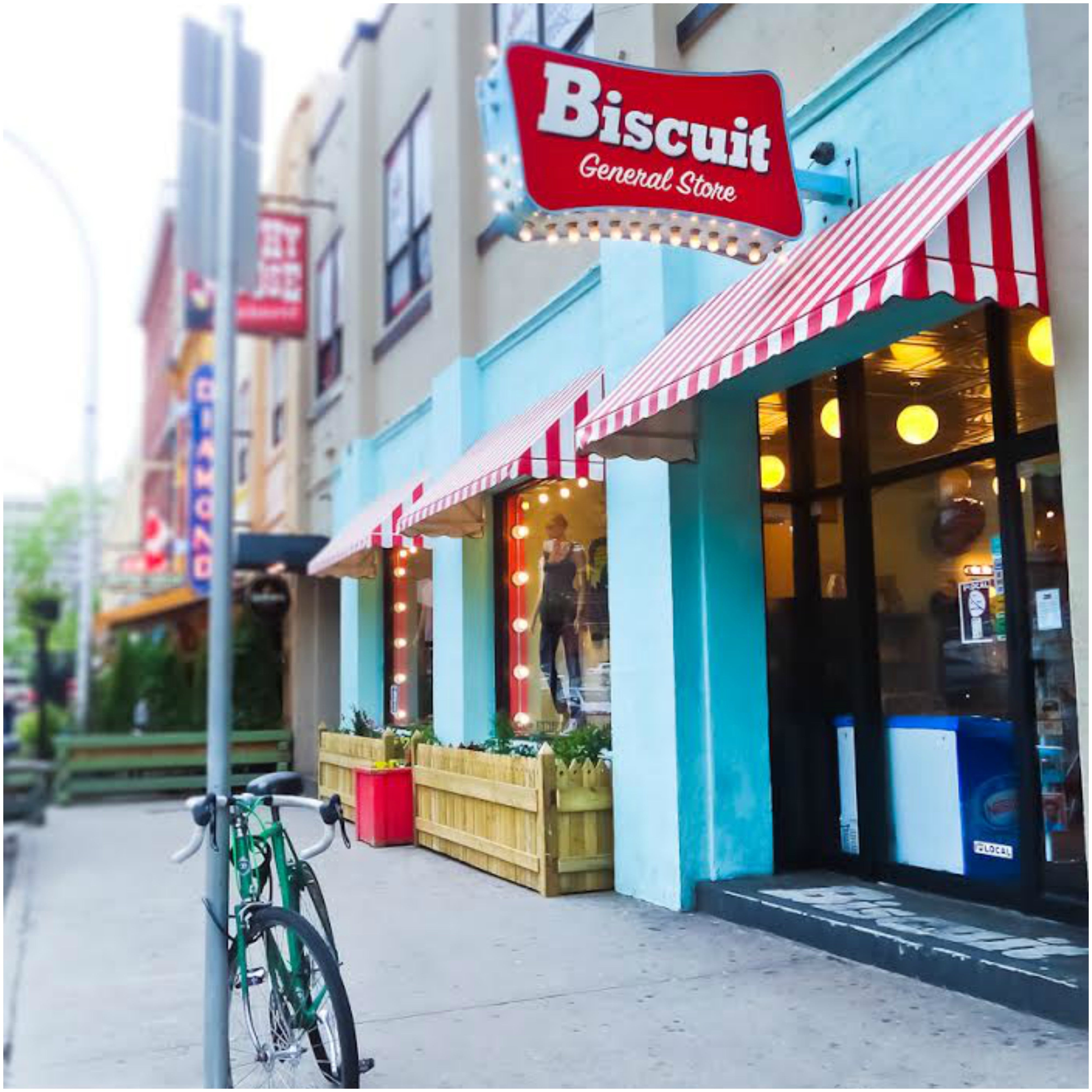 STOCKIST FEATURE: BISCUIT GENERAL