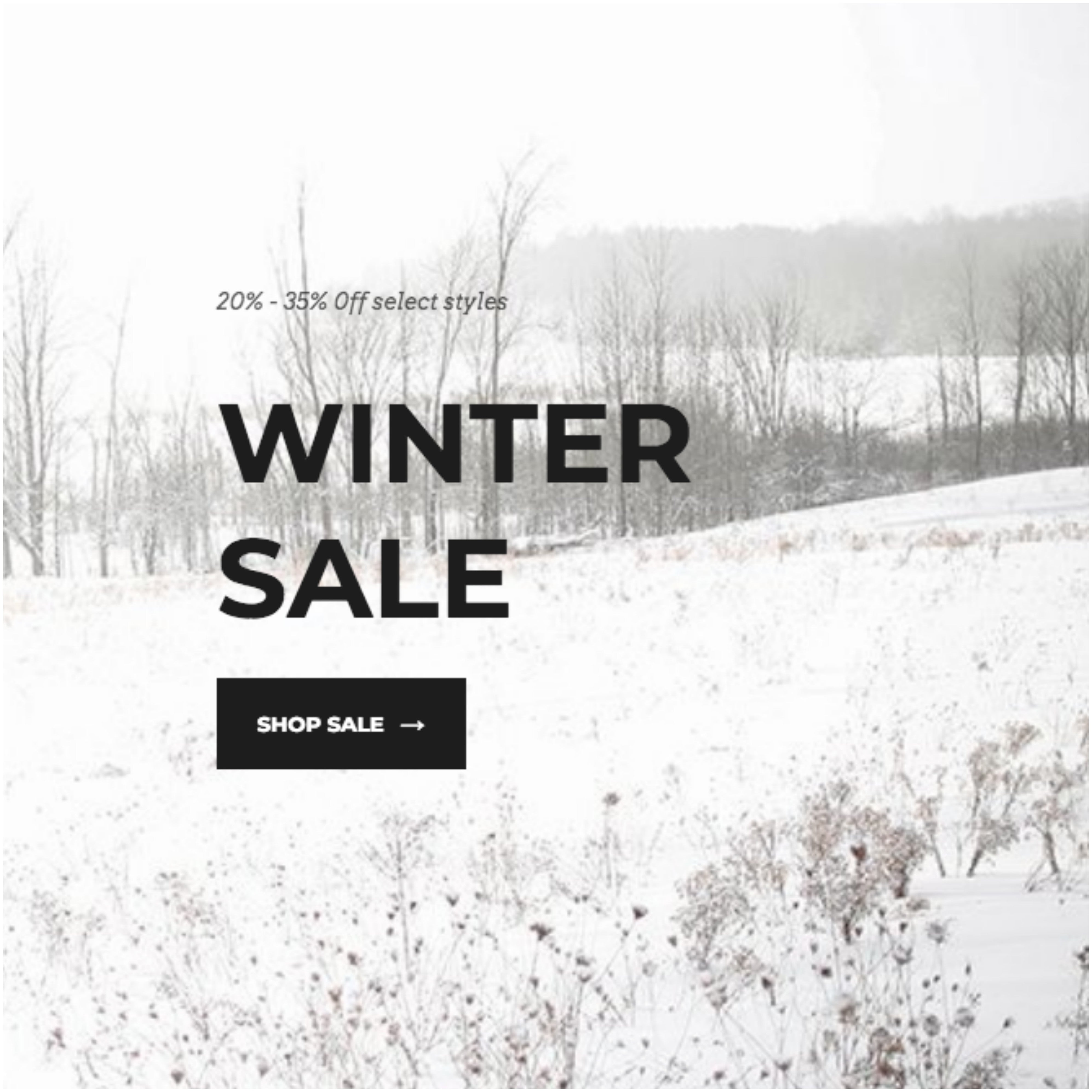 Winter Sale and what to snag!