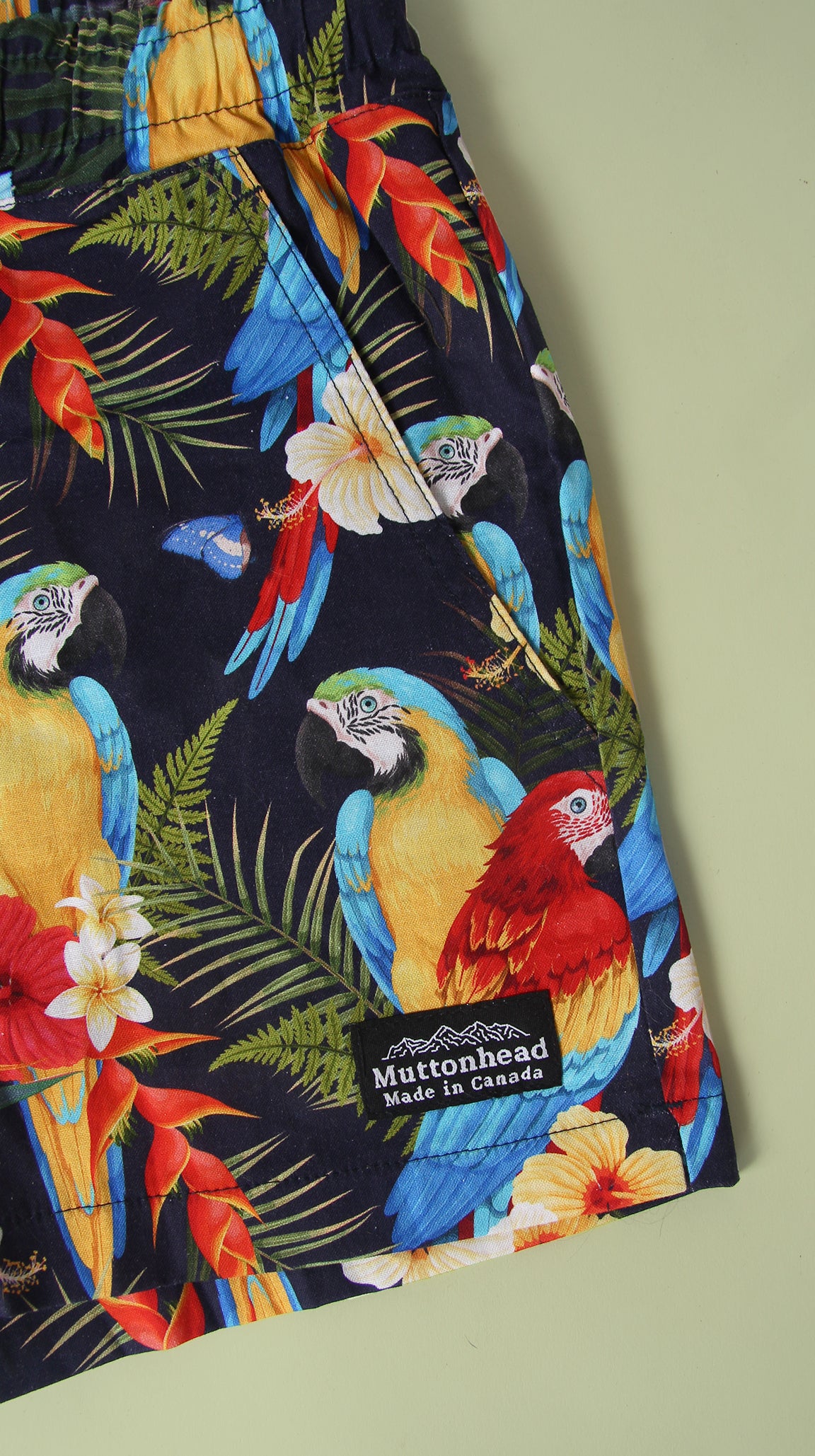 Track Shorts - Parrot