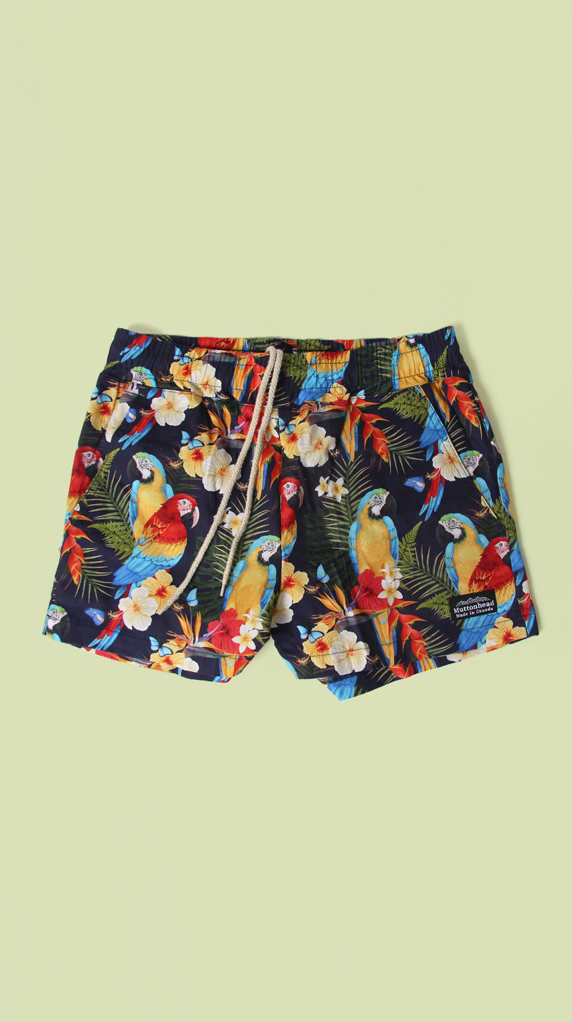 Track Shorts - Parrot