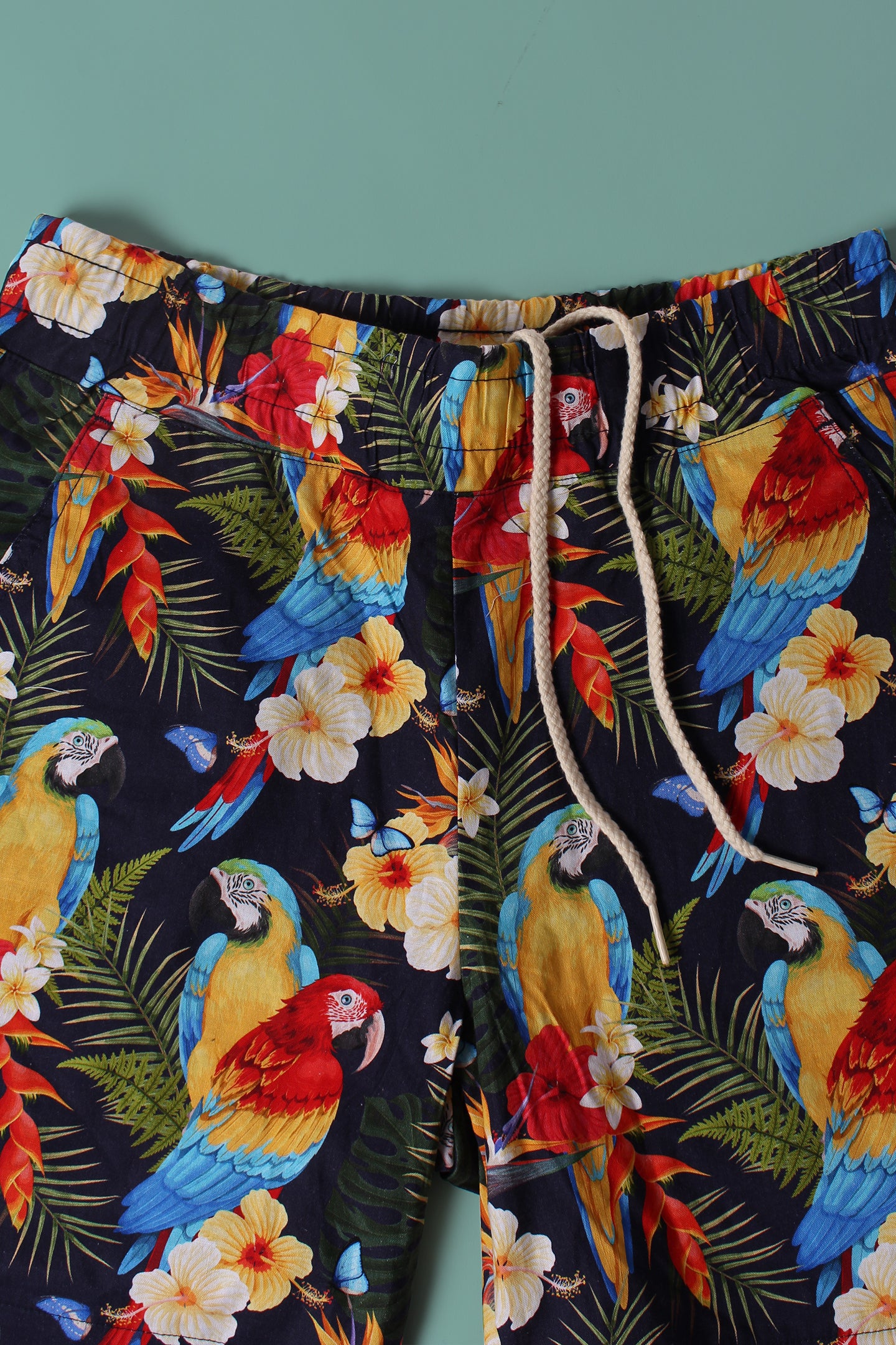 Roamer Shorts - Parrots