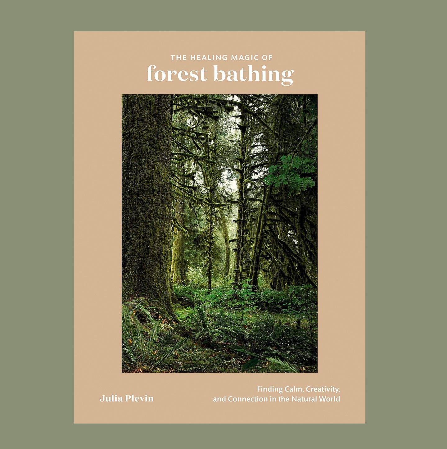 The Healing Magic of Forest Bathing