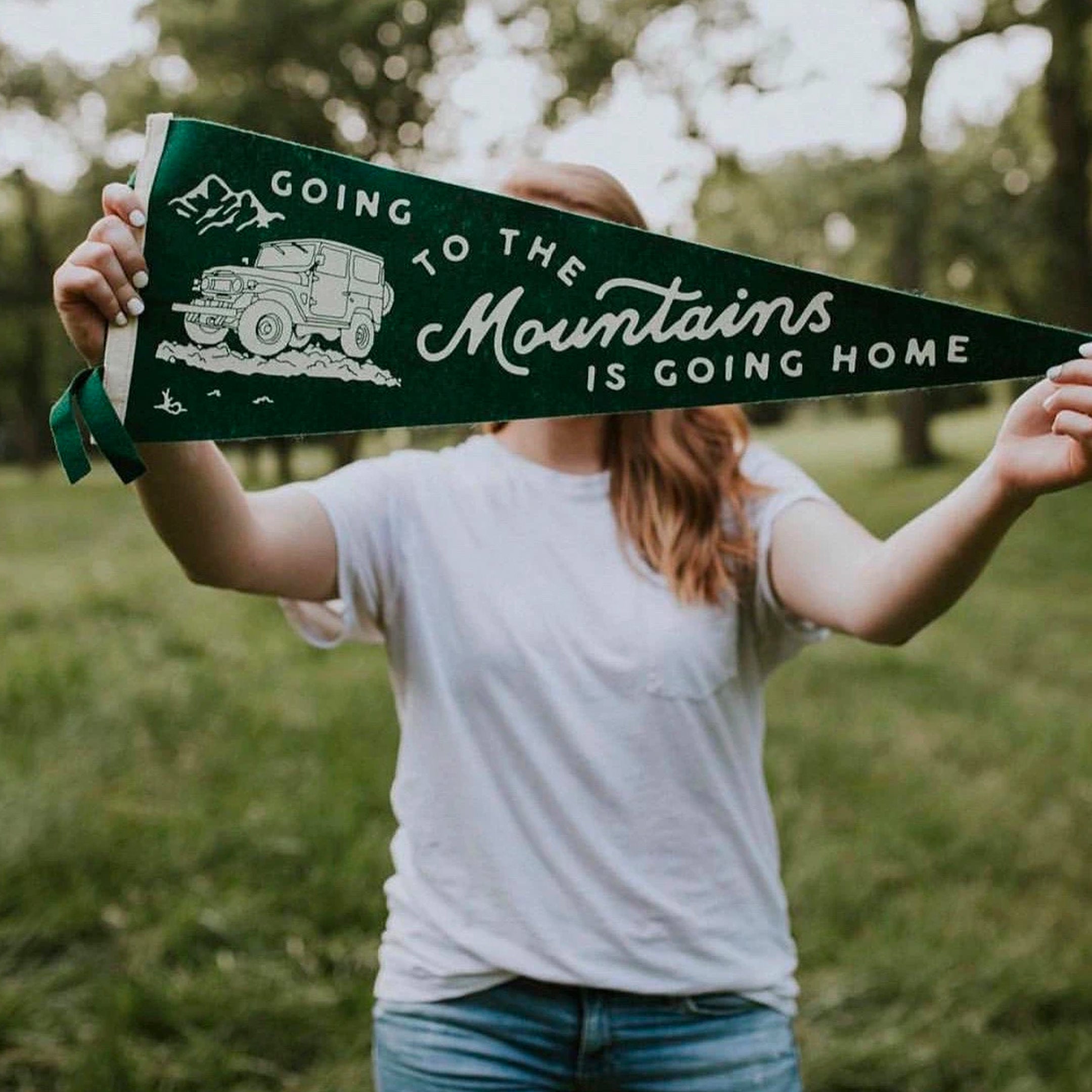 Oxford Pennant - Going to the Mountains is Going Home